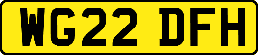 WG22DFH