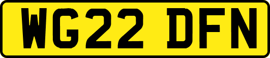WG22DFN