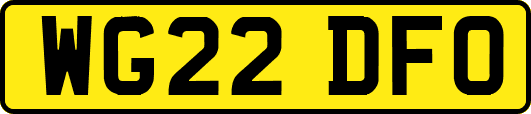 WG22DFO