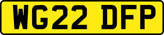 WG22DFP