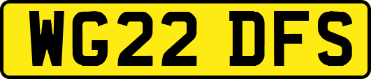 WG22DFS