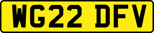 WG22DFV