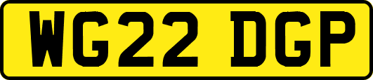 WG22DGP