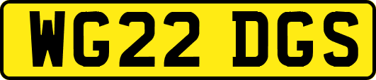 WG22DGS