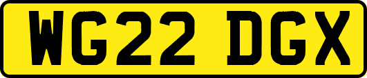 WG22DGX