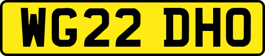 WG22DHO