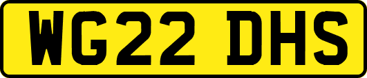 WG22DHS