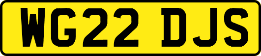 WG22DJS