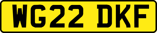WG22DKF