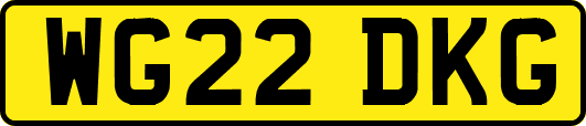 WG22DKG