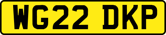 WG22DKP