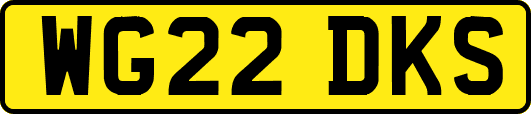 WG22DKS