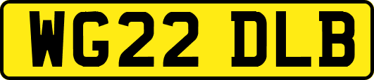 WG22DLB