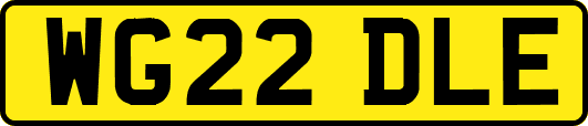 WG22DLE