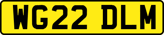 WG22DLM