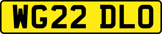 WG22DLO