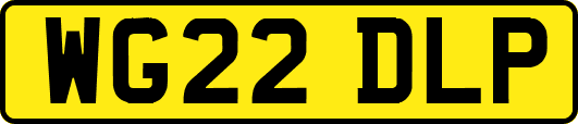 WG22DLP