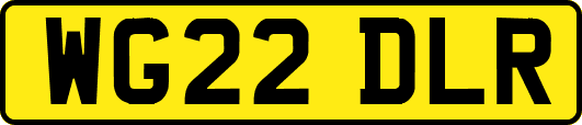 WG22DLR