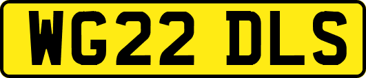 WG22DLS