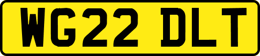 WG22DLT