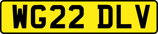 WG22DLV