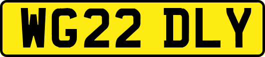 WG22DLY