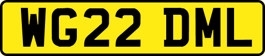 WG22DML