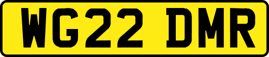 WG22DMR