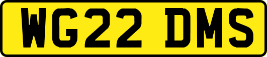 WG22DMS