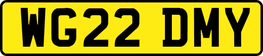 WG22DMY
