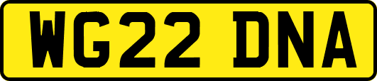 WG22DNA