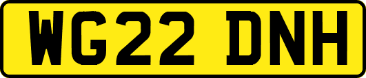 WG22DNH