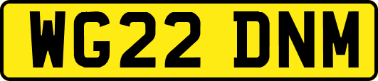 WG22DNM