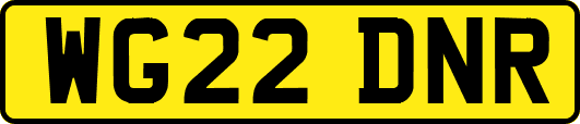 WG22DNR