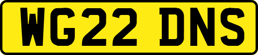 WG22DNS