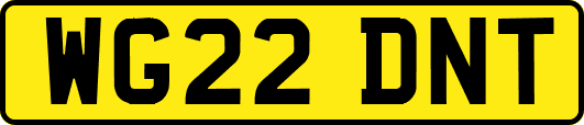 WG22DNT