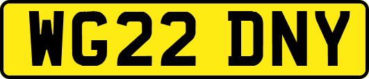 WG22DNY
