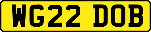 WG22DOB