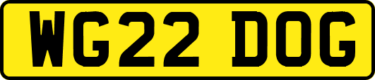 WG22DOG