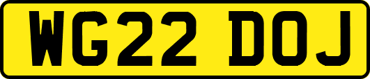 WG22DOJ
