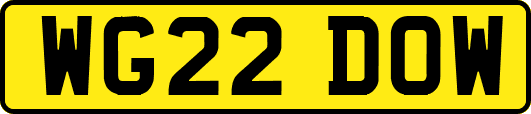 WG22DOW
