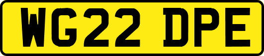 WG22DPE