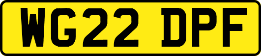 WG22DPF
