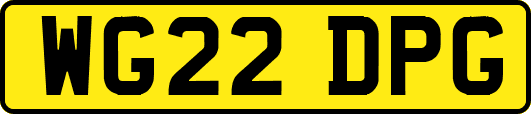 WG22DPG