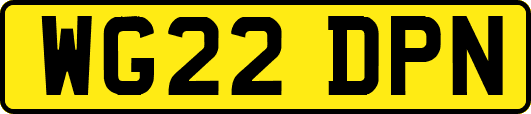 WG22DPN