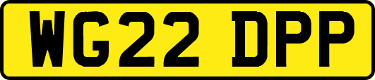 WG22DPP