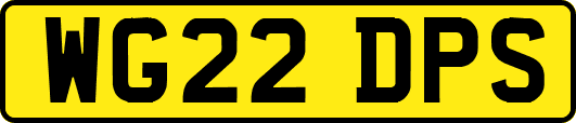 WG22DPS