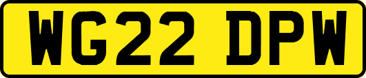 WG22DPW