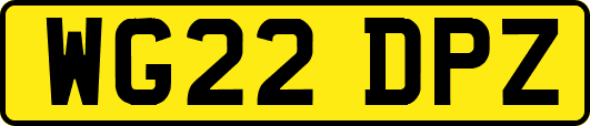 WG22DPZ