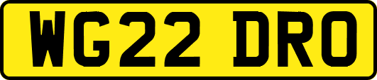 WG22DRO